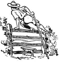 �������� ������ ����������� ����� � �����������