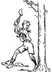 ��� ����� ������