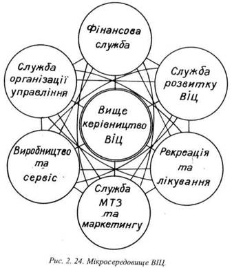̳������������� ²�