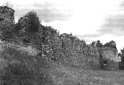 Микулинецький замок