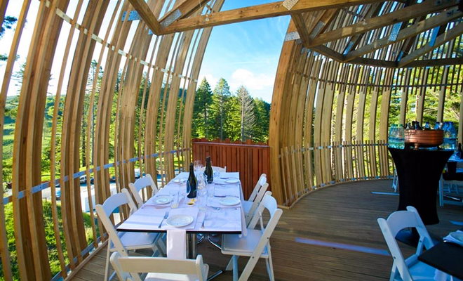 Redwood Treehouse