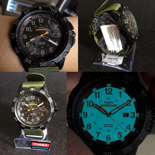 Timex Expedition