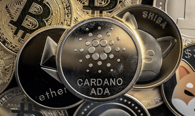 Bitcoin & Cardano