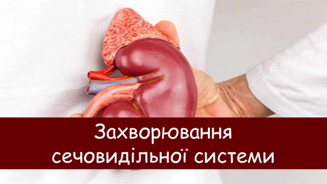 ������������ ���������� �������