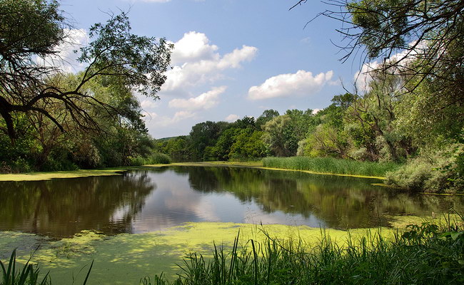 ���� ��������� �����