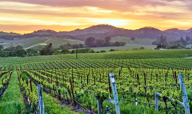 Napa Valley