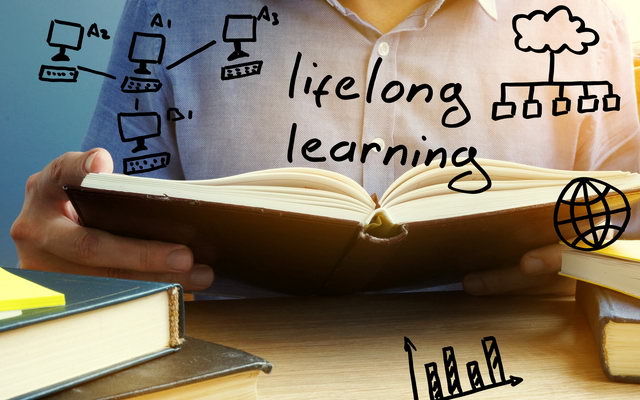 lifelong learning