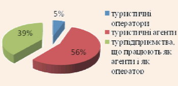 Структура анкетованих туристичних підприємств за видом діяльності Структура анкетованих туристичних підприємств за видом діяльності