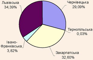 Структура кількості іноземних туристів в областях Карпатського регіону, 2007 рік Структура кількості іноземних туристів в областях Карпатського регіону, 2007 рік