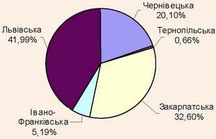 Структура кількості іноземних туристів в областях Карпатського регіону, 2008 рік Структура кількості іноземних туристів в областях Карпатського регіону, 2008 рік