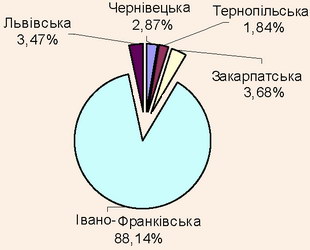 Структура кількості внутрішніх туристів в областях Карпатського регіону, 2007 рік Структура кількості внутрішніх туристів в областях Карпатського регіону, 2007 рік
