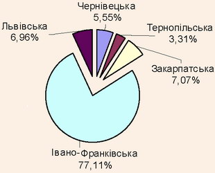 Структура кількості внутрішніх туристів в областях Карпатського регіону, 2008 рік Структура кількості внутрішніх туристів в областях Карпатського регіону, 2008 рік